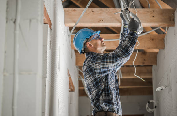 Best Electric Panel Repair  in Wright, FL
